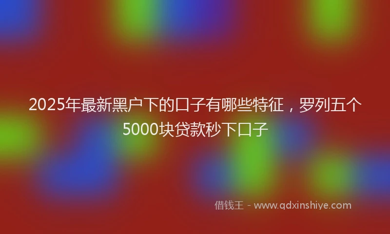 2025年最新黑户下的口子有哪些特征，罗列五个5000块贷款秒下口子