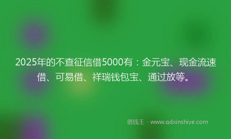 2025年的不查征信借5000有:金元宝、现金流速借、可易借、祥瑞钱包宝、通过放等。