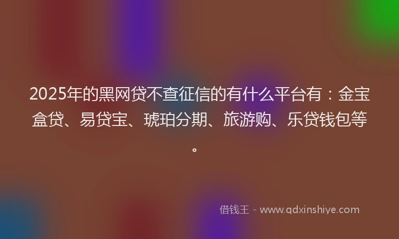 2025年的黑网贷不查征信的有什么平台有：金宝盒贷、易贷宝、琥珀分期、旅游购、乐贷钱包等。