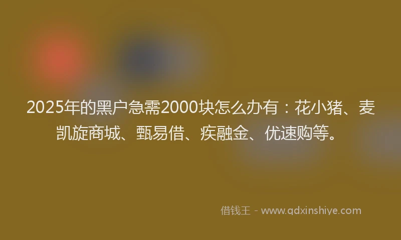 2025年的黑户急需2000块怎么办有：花小猪、麦凯旋商城、甄易借、疾融金、优速购等。