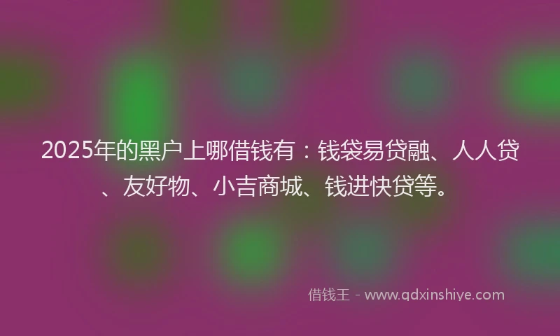2025年的黑户上哪借钱有：钱袋易贷融、人人贷、友好物、小吉商城、钱进快贷等。