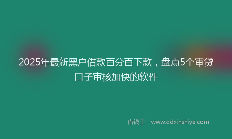 2025年最新黑户借款百分百下款，盘点5个审贷口子审核加快的软件