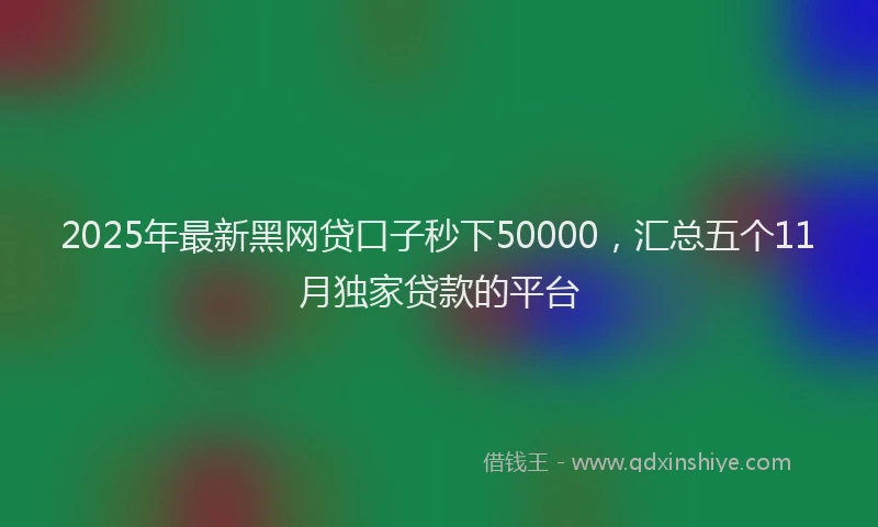 2025年最新黑网贷口子秒下50000，汇总五个11月独家贷款的平台