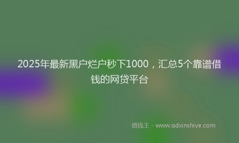 2025年最新黑户烂户秒下1000，汇总5个靠谱借钱的网贷平台