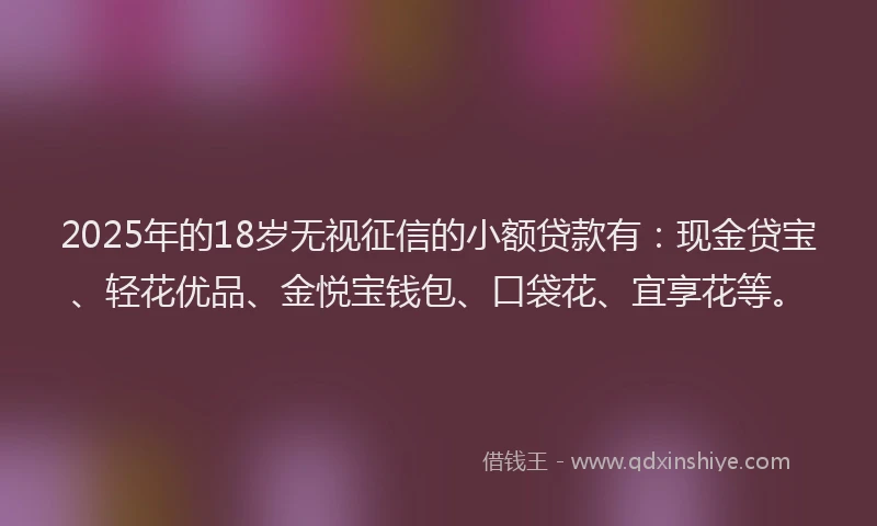 2025年的18岁无视征信的小额贷款有：现金贷宝、轻花优品、金悦宝钱包、口袋花、宜享花等。