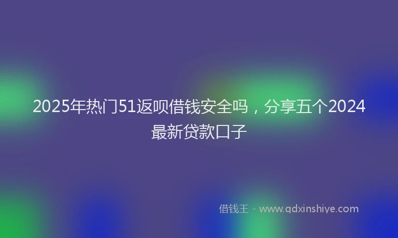 2025年热门51返呗借钱安全吗，分享五个2024最新贷款口子