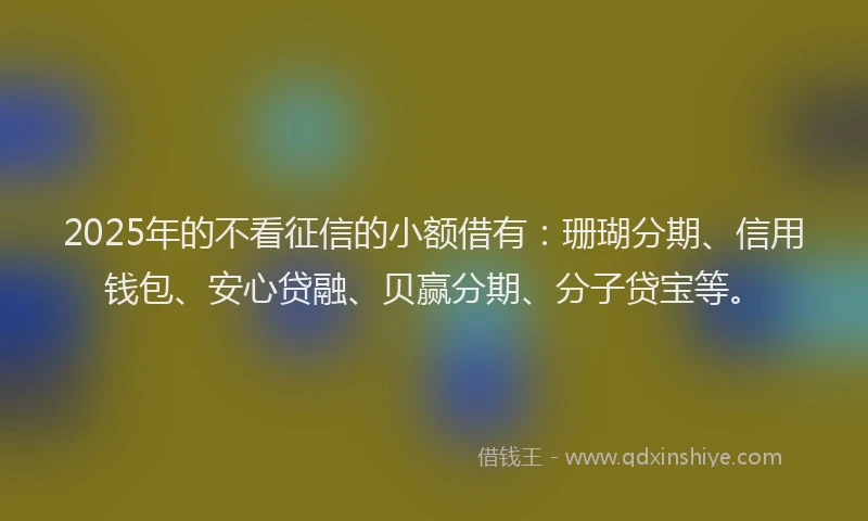 2025年的不看征信的小额借有：珊瑚分期、信用钱包、安心贷融、贝赢分期、分子贷宝等。