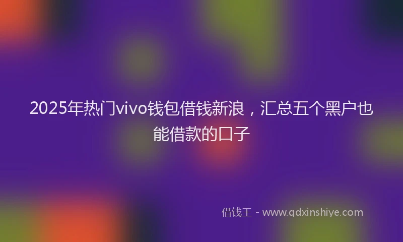 2025年热门vivo钱包借钱新浪，汇总五个黑户也能借款的口子
