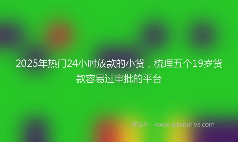2025年热门24小时放款的小贷，梳理五个19岁贷款容易过审批的平台