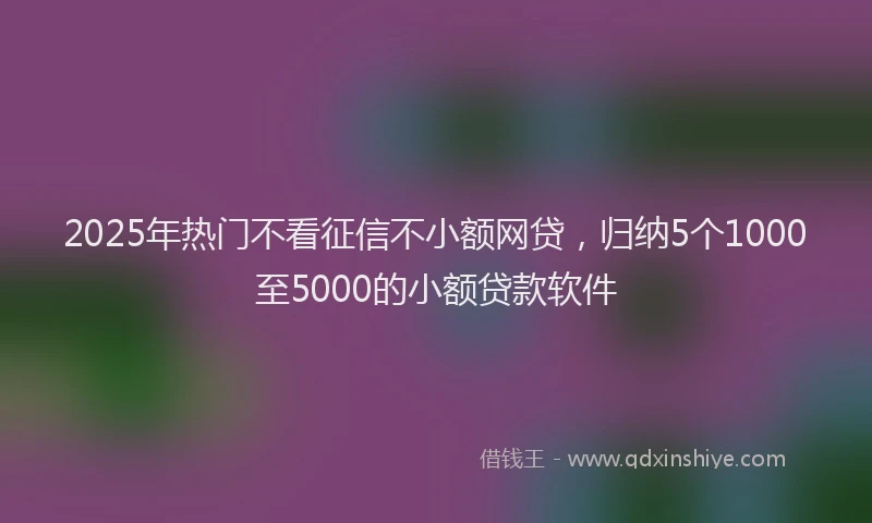 2025年热门不看征信不小额网贷，归纳5个1000至5000的小额贷款软件