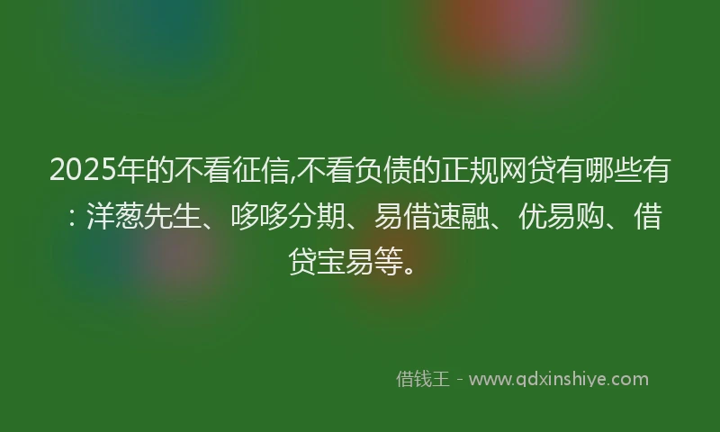 2025年的不看征信,不看负债的正规网贷有哪些有：洋葱先生、哆哆分期、易借速融、优易购、借贷宝易等。