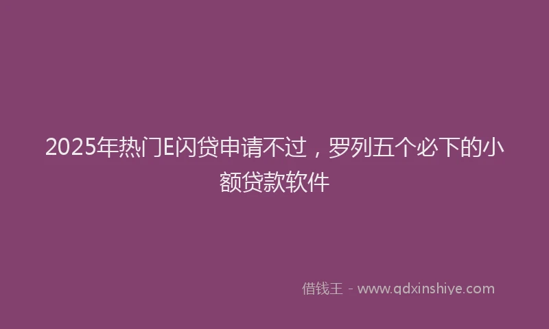 2025年热门E闪贷申请不过，罗列五个必下的小额贷款软件