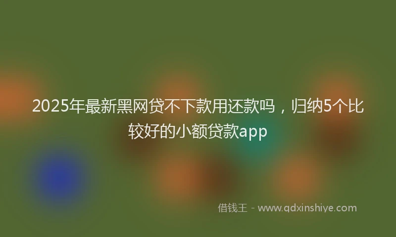 2025年最新黑网贷不下款用还款吗，归纳5个比较好的小额贷款app