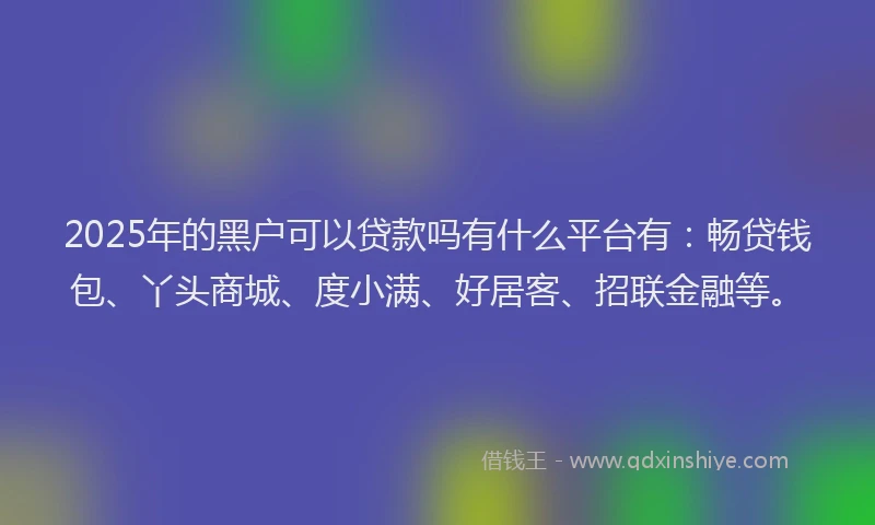2025年的黑户可以贷款吗有什么平台有：畅贷钱包、丫头商城、度小满、好居客、招联金融等。