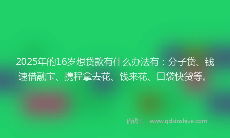 2025年的16岁想贷款有什么办法有:分子贷、钱速借融宝、携程拿去花、钱来花、口袋快贷等。