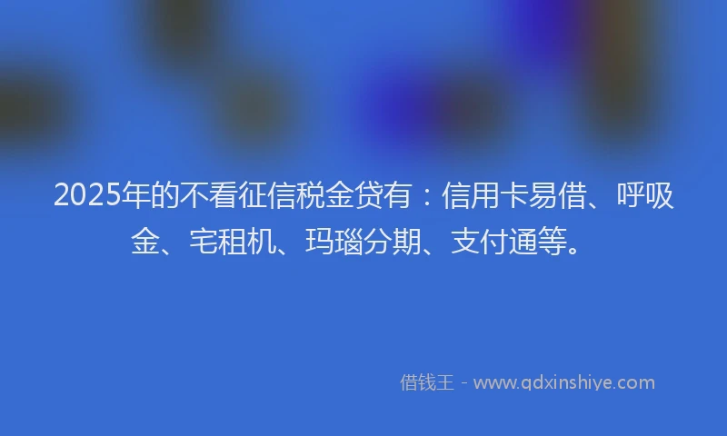 2025年的不看征信税金贷有：信用卡易借、呼吸金、宅租机、玛瑙分期、支付通等。