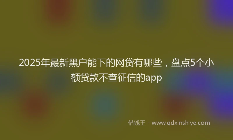 2025年最新黑户能下的网贷有哪些，盘点5个小额贷款不查征信的app