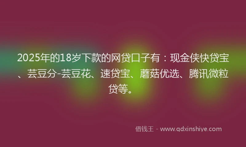 2025年的18岁下款的网贷口子有：现金侠快贷宝、芸豆分-芸豆花、速贷宝、蘑菇优选、腾讯微粒贷等。