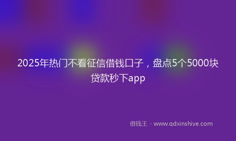 2025年热门不看征信借钱口子,盘点5个5000块贷款秒下app