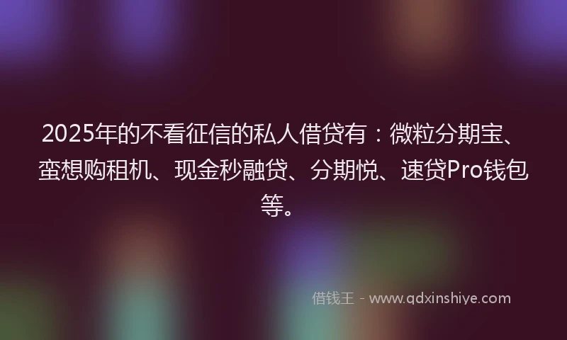 2025年的不看征信的私人借贷有：微粒分期宝、蛮想购租机、现金秒融贷、分期悦、速贷Pro钱包等。