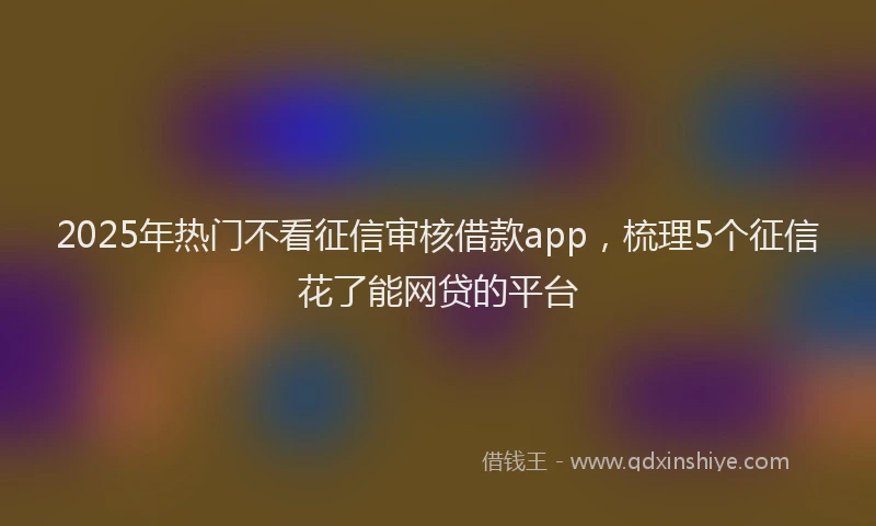 2025年热门不看征信审核借款app,梳理5个征信花了能网贷的平台