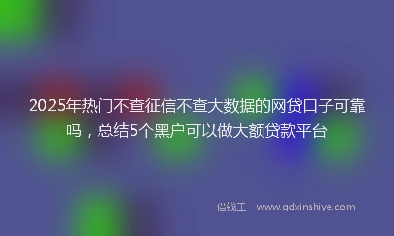 2025年热门不查征信不查大数据的网贷口子可靠吗，总结5个黑户可以做大额贷款平台