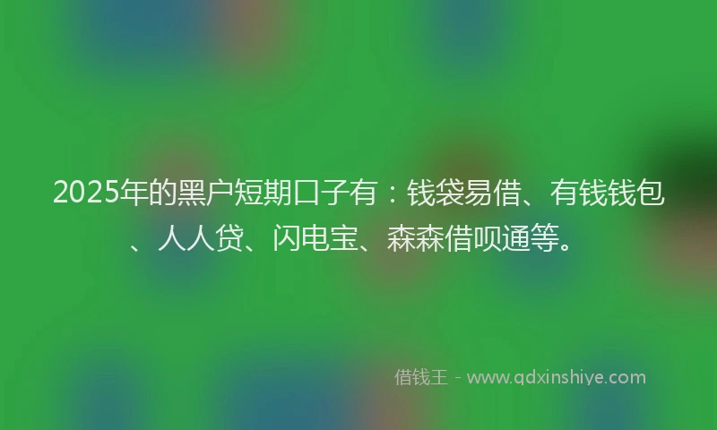 2025年的黑户短期口子有：钱袋易借、有钱钱包、人人贷、闪电宝、森森借呗通等。