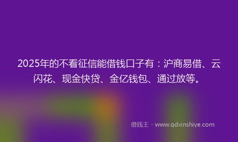 2025年的不看征信能借钱口子有：沪商易借、云闪花、现金快贷、金亿钱包、通过放等。