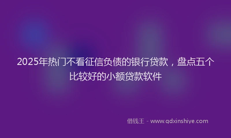 2025年热门不看征信负债的银行贷款，盘点五个比较好的小额贷款软件