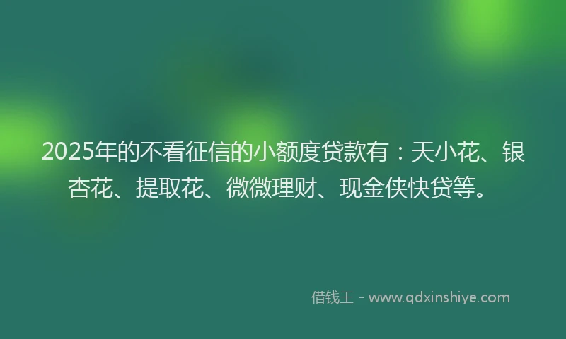 2025年的不看征信的小额度贷款有：天小花、银杏花、提取花、微微理财、现金侠快贷等。