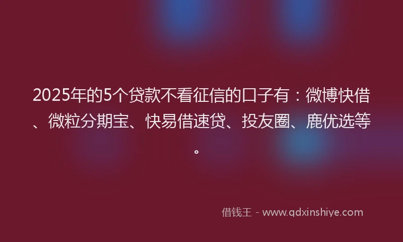 2025年的5个贷款不看征信的口子有：微博快借、微粒分期宝、快易借速贷、投友圈、鹿优选等。