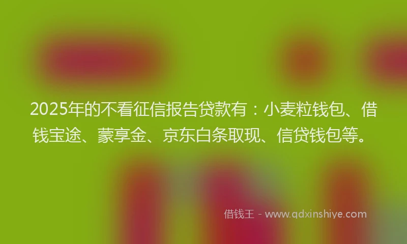 2025年的不看征信报告贷款有：小麦粒钱包、借钱宝途、蒙享金、京东白条取现、信贷钱包等。