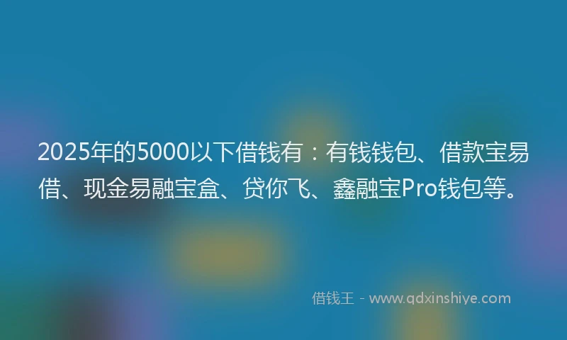 2025年的5000以下借钱有：有钱钱包、借款宝易借、现金易融宝盒、贷你飞、鑫融宝Pro钱包等。