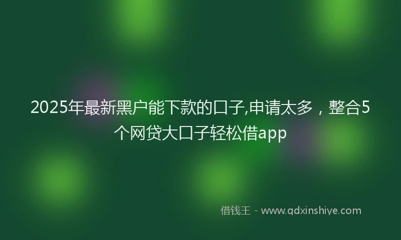 2025年最新黑户能下款的口子,申请太多，整合5个网贷大口子轻松借app