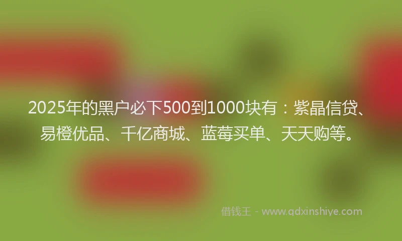2025年的黑户必下500到1000块有：紫晶信贷、易橙优品、千亿商城、蓝莓买单、天天购等。
