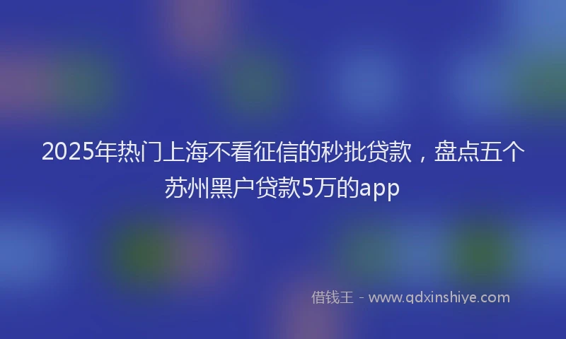 2025年热门上海不看征信的秒批贷款，盘点五个苏州黑户贷款5万的app