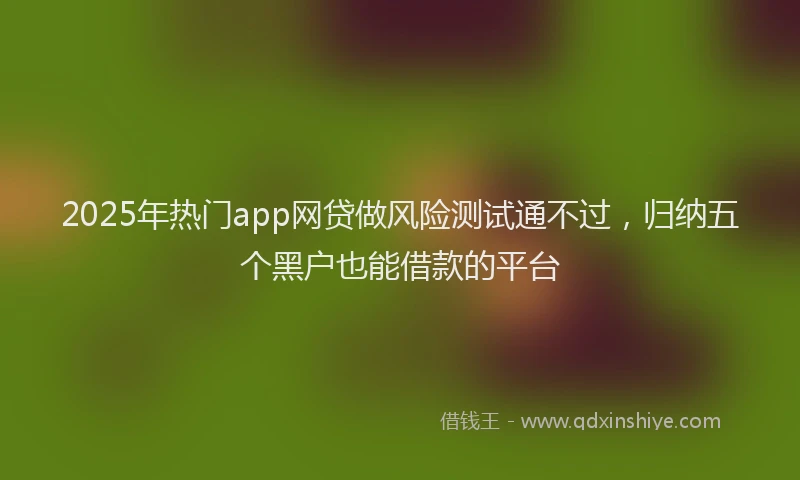 2025年热门app网贷做风险测试通不过，归纳五个黑户也能借款的平台
