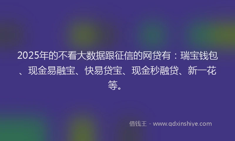 2025年的不看大数据跟征信的网贷有：瑞宝钱包、现金易融宝、快易贷宝、现金秒融贷、新一花等。