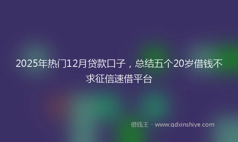 2025年热门12月贷款口子，总结五个20岁借钱不求征信速借平台