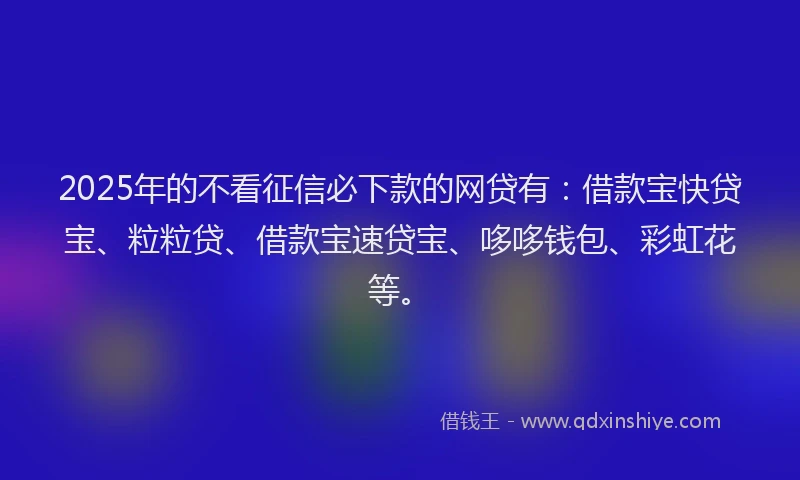2025年的不看征信必下款的网贷有：借款宝快贷宝、粒粒贷、借款宝速贷宝、哆哆钱包、彩虹花等。