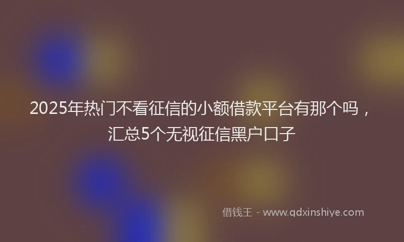 2025年热门不看征信的小额借款平台有那个吗，汇总5个无视征信黑户口子