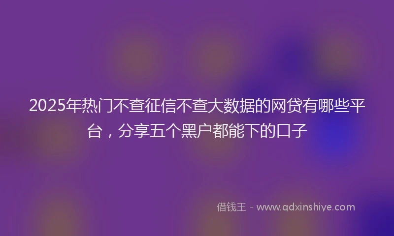 2025年热门不查征信不查大数据的网贷有哪些平台，分享五个黑户都能下的口子