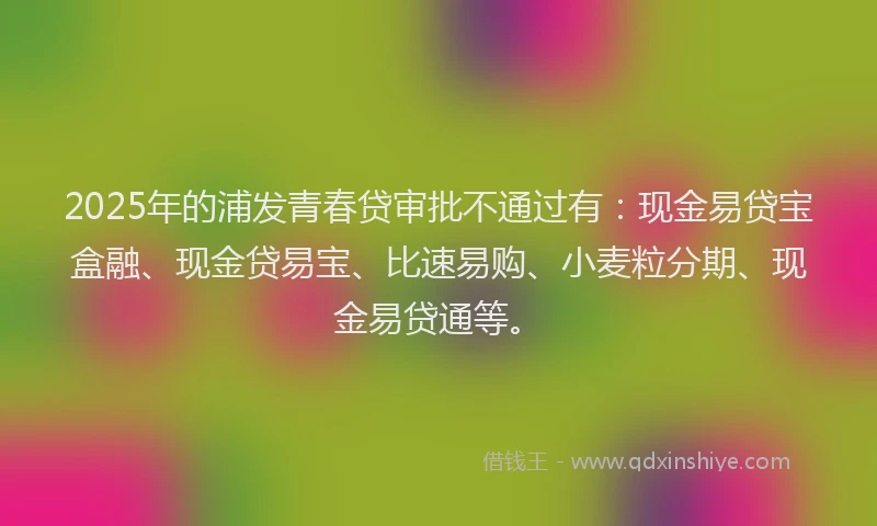 2025年的浦发青春贷审批不通过有：现金易贷宝盒融、现金贷易宝、比速易购、小麦粒分期、现金易贷通等。
