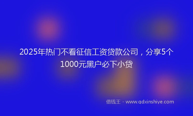 2025年热门不看征信工资贷款公司，分享5个1000元黑户必下小贷