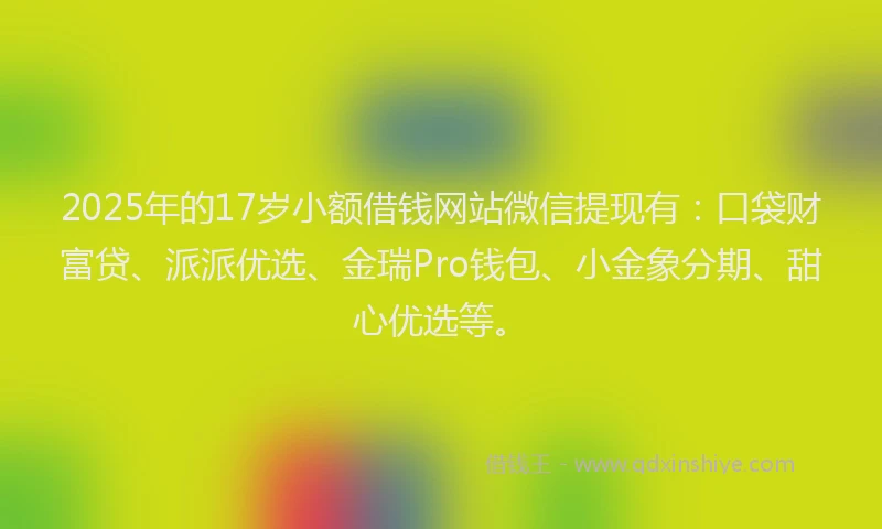 2025年的17岁小额借钱网站微信提现有：口袋财富贷、派派优选、金瑞Pro钱包、小金象分期、甜心优选等。