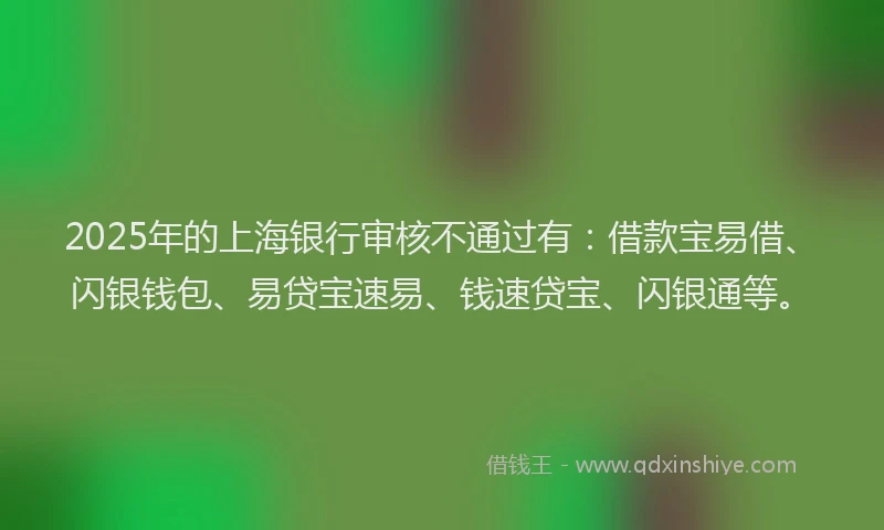 2025年的上海银行审核不通过有：借款宝易借、闪银钱包、易贷宝速易、钱速贷宝、闪银通等。