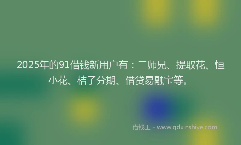 2025年的91借钱新用户有：二师兄、提取花、恒小花、桔子分期、借贷易融宝等。
