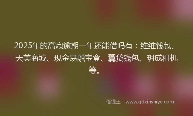 2025年的高炮逾期一年还能借吗有：维维钱包、天美商城、现金易融宝盒、翼贷钱包、玥成租机等。