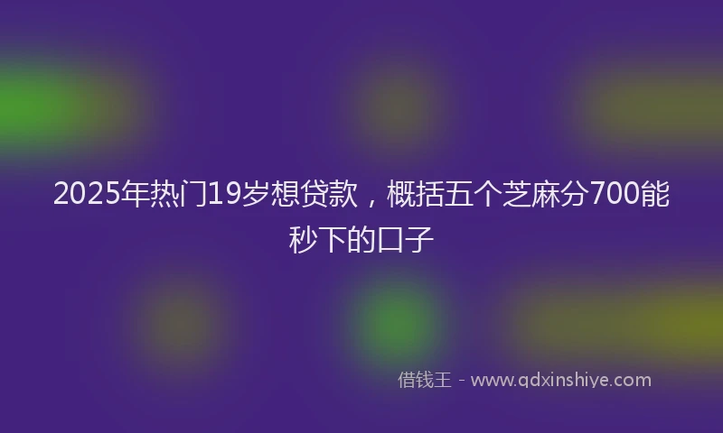 2025年热门19岁想贷款，概括五个芝麻分700能秒下的口子