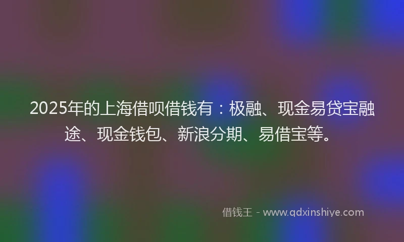 2025年的上海借呗借钱有：极融、现金易贷宝融途、现金钱包、新浪分期、易借宝等。